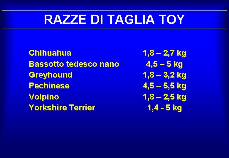 RAZZE DI TAGLIA TOY Chihuahua Bassotto tedesco nano Greyhound Pechinese Volpino Yorkshire Terrier 1,