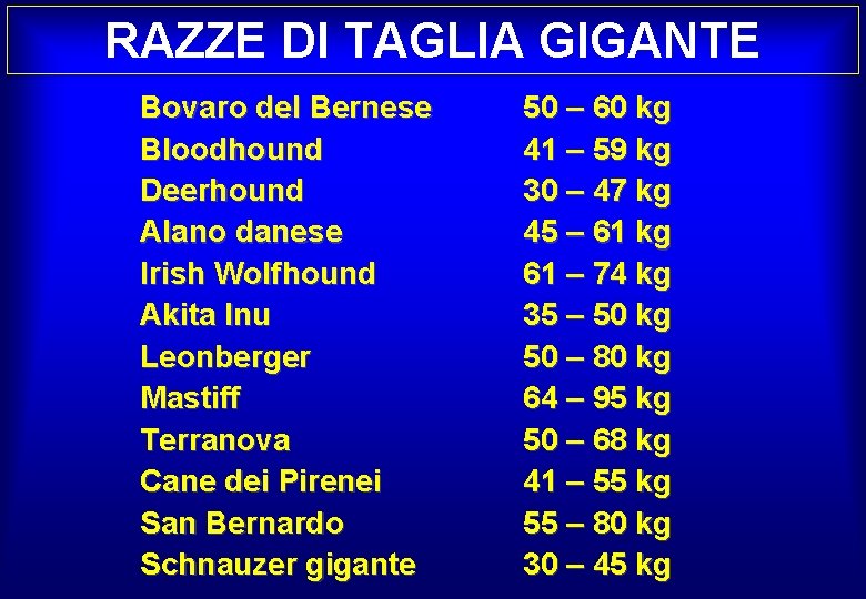 RAZZE DI TAGLIA GIGANTE Bovaro del Bernese Bloodhound Deerhound Alano danese Irish Wolfhound Akita