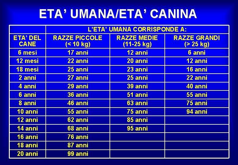 ETA’ UMANA/ETA’ CANINA ETA’ DEL CANE 6 mesi 12 mesi 18 mesi 2 anni