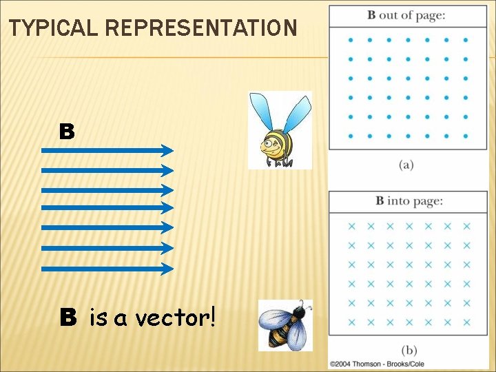 TYPICAL REPRESENTATION Magnetism B B is a vector! 24 