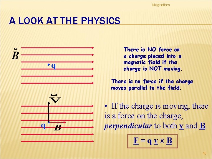 Magnetism A LOOK AT THE PHYSICS q There is NO force on a charge