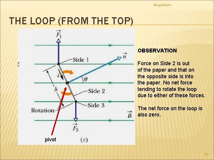 Magnetism THE LOOP (FROM THE TOP) OBSERVATION Force on Side 2 is out of