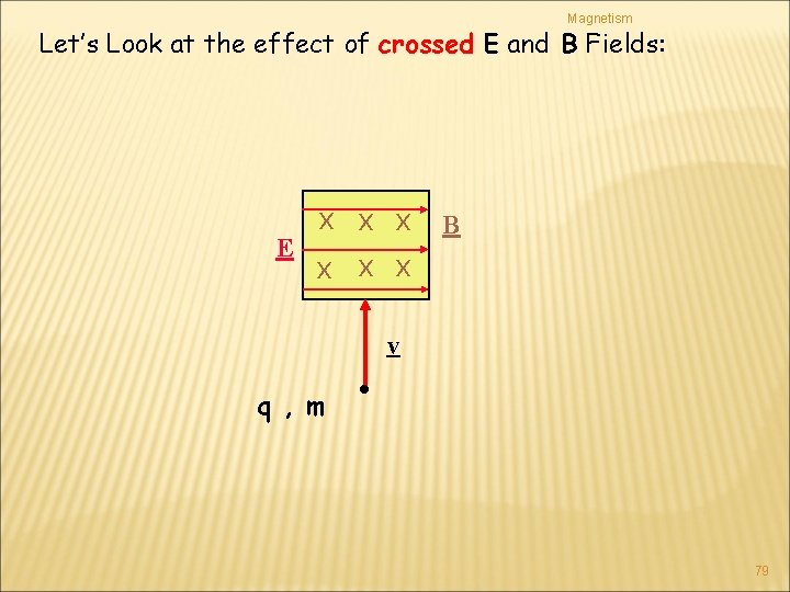 Magnetism Let’s Look at the effect of crossed E and B Fields: x x
