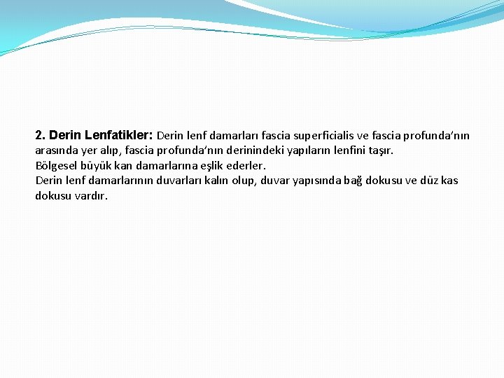 2. Derin Lenfatikler: Derin lenf damarları fascia superficialis ve fascia profunda’nın arasında yer alıp,