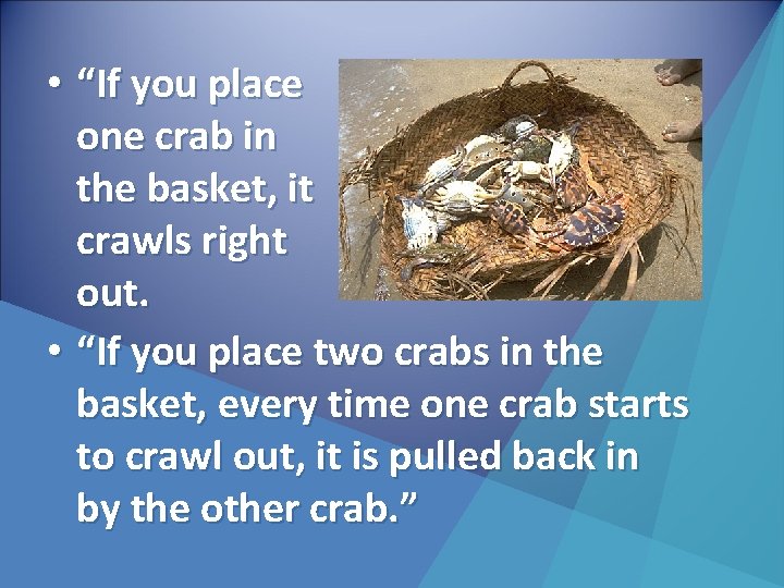  • “If you place one crab in the basket, it crawls right out.