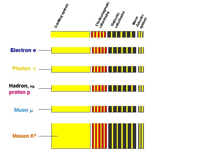 Electron e- Photon g Hadron, eg. proton p Muon m- Meson K 0 sy