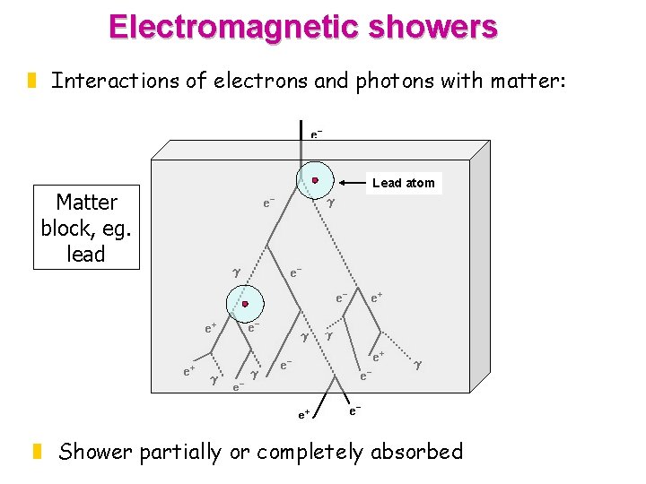 Electromagnetic showers z Interactions of electrons and photons with matter: Matter block, eg. lead