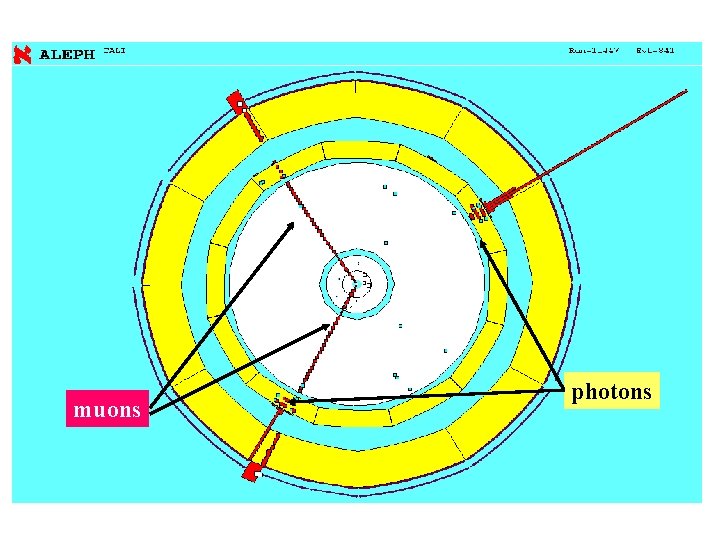muons photons 