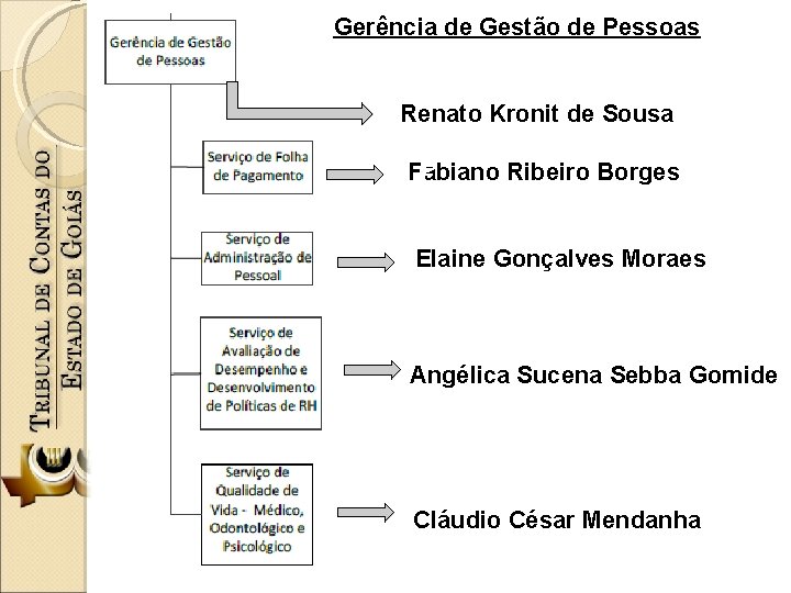 Gerência de Gestão de Pessoas Renato Kronit de Sousa Fabiano Ribeiro Borges E Elaine