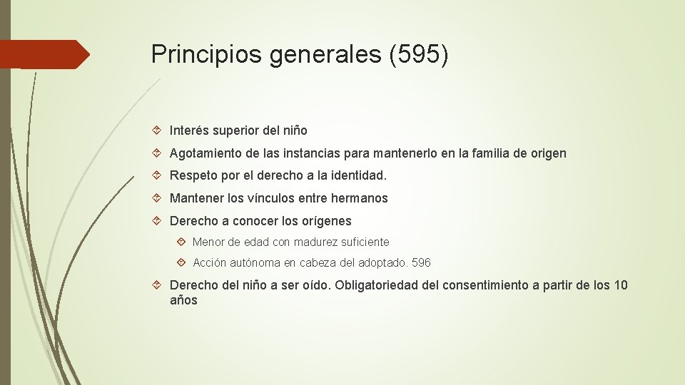 Principios generales (595) Interés superior del niño Agotamiento de las instancias para mantenerlo en