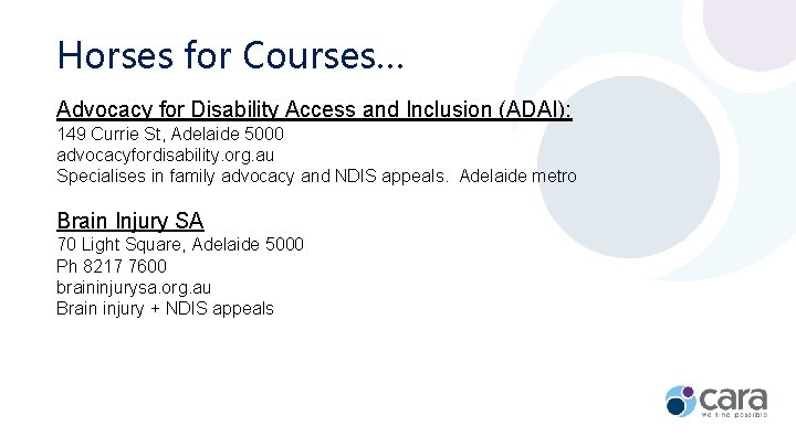 Horses for Courses… Advocacy for Disability Access and Inclusion (ADAI): 149 Currie St, Adelaide