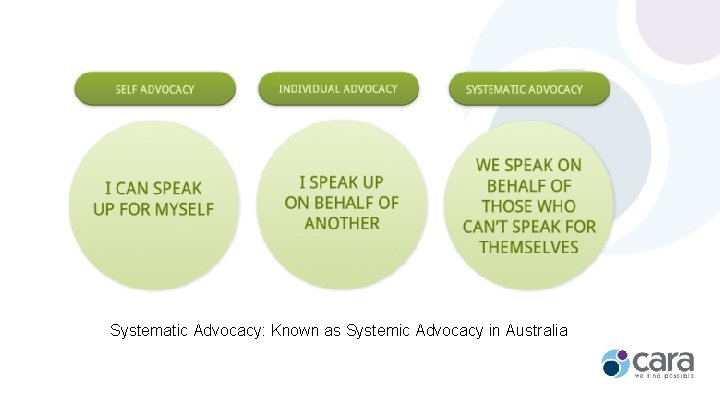 Systematic Advocacy: Known as Systemic Advocacy in Australia 