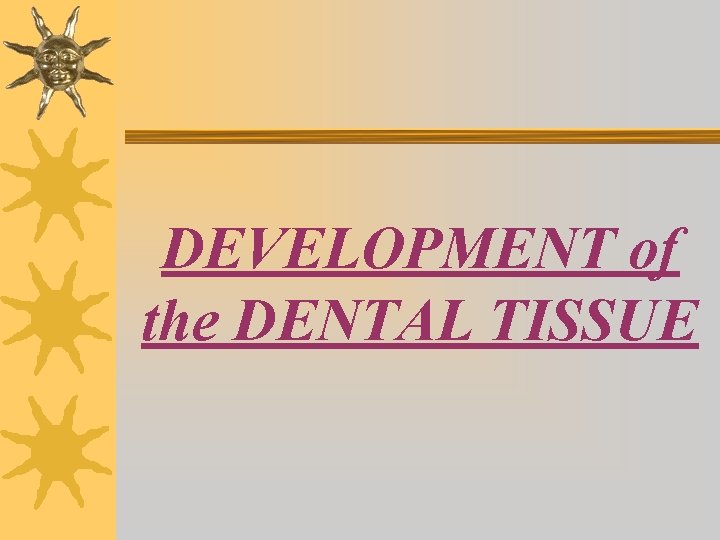 DEVELOPMENT of the DENTAL TISSUE 