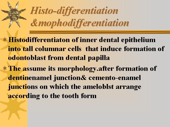 Histo-differentiation &mophodifferentiation ¬Histodifferentiaton of inner dental epithelium into tall columnar cells that induce formation