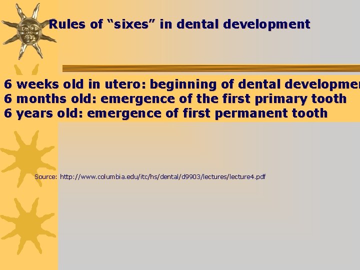 Rules of “sixes” in dental development 6 weeks old in utero: beginning of dental