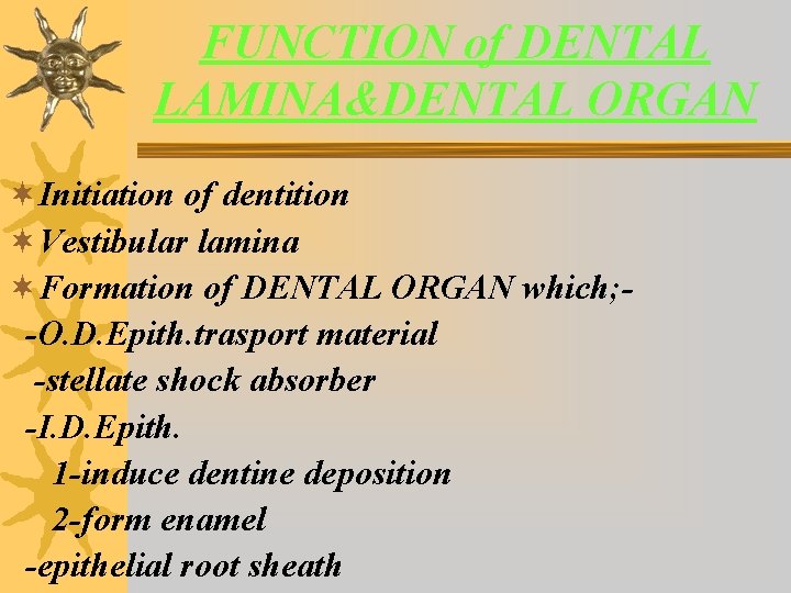 FUNCTION of DENTAL LAMINA&DENTAL ORGAN ¬Initiation of dentition ¬Vestibular lamina ¬Formation of DENTAL ORGAN