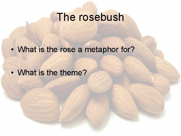 The rosebush • What is the rose a metaphor for? • What is theme?