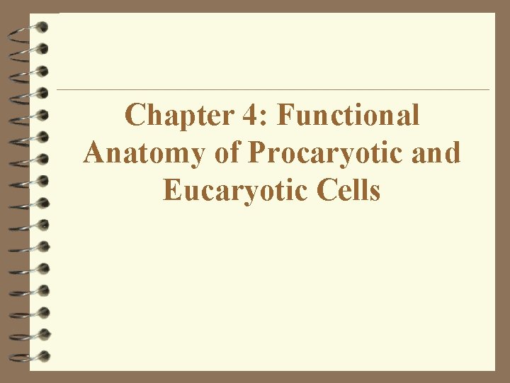 Chapter 4: Functional Anatomy of Procaryotic and Eucaryotic Cells Chapter 4: Functional Anatomy of Procaryotic and Eucaryotic Cells