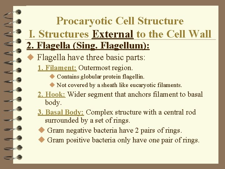 Procaryotic Cell Structure I. Structures External to the Cell Wall 2. Flagella (Sing. Flagellum): Procaryotic Cell Structure I. Structures External to the Cell Wall 2. Flagella (Sing. Flagellum):
