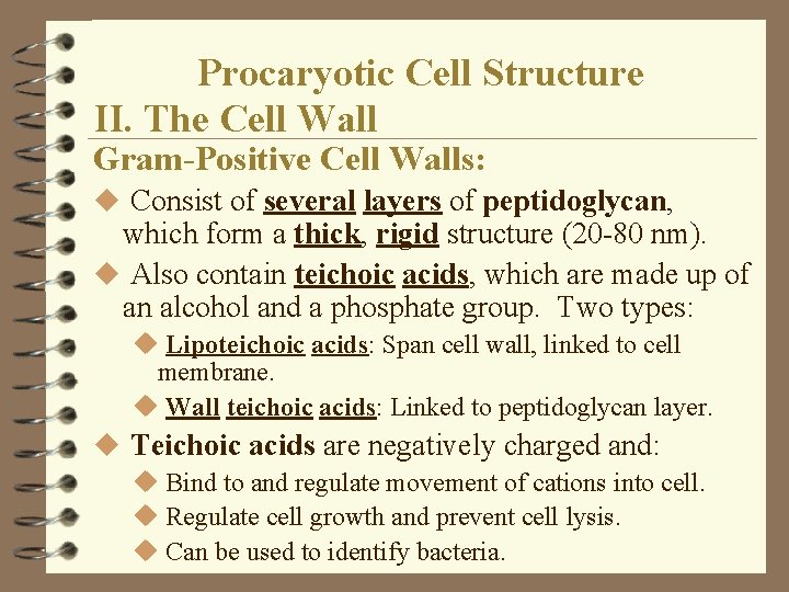 Procaryotic Cell Structure II. The Cell Wall Gram-Positive Cell Walls: u Consist of several Procaryotic Cell Structure II. The Cell Wall Gram-Positive Cell Walls: u Consist of several