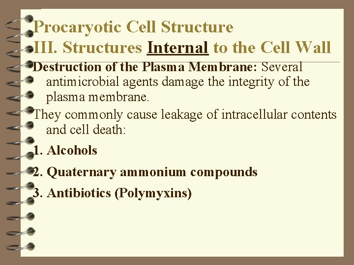 Procaryotic Cell Structure III. Structures Internal to the Cell Wall Destruction of the Plasma Procaryotic Cell Structure III. Structures Internal to the Cell Wall Destruction of the Plasma
