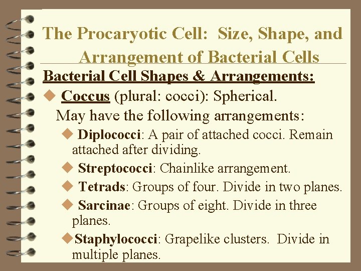 The Procaryotic Cell: Size, Shape, and Arrangement of Bacterial Cells Bacterial Cell Shapes & The Procaryotic Cell: Size, Shape, and Arrangement of Bacterial Cells Bacterial Cell Shapes &