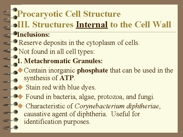 Procaryotic Cell Structure III. Structures Internal to the Cell Wall Inclusions: Reserve deposits in Procaryotic Cell Structure III. Structures Internal to the Cell Wall Inclusions: Reserve deposits in