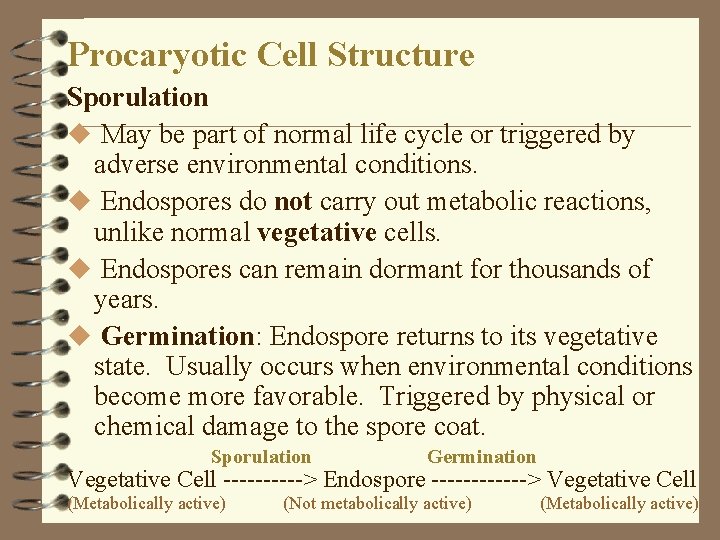 Procaryotic Cell Structure Sporulation u May be part of normal life cycle or triggered Procaryotic Cell Structure Sporulation u May be part of normal life cycle or triggered