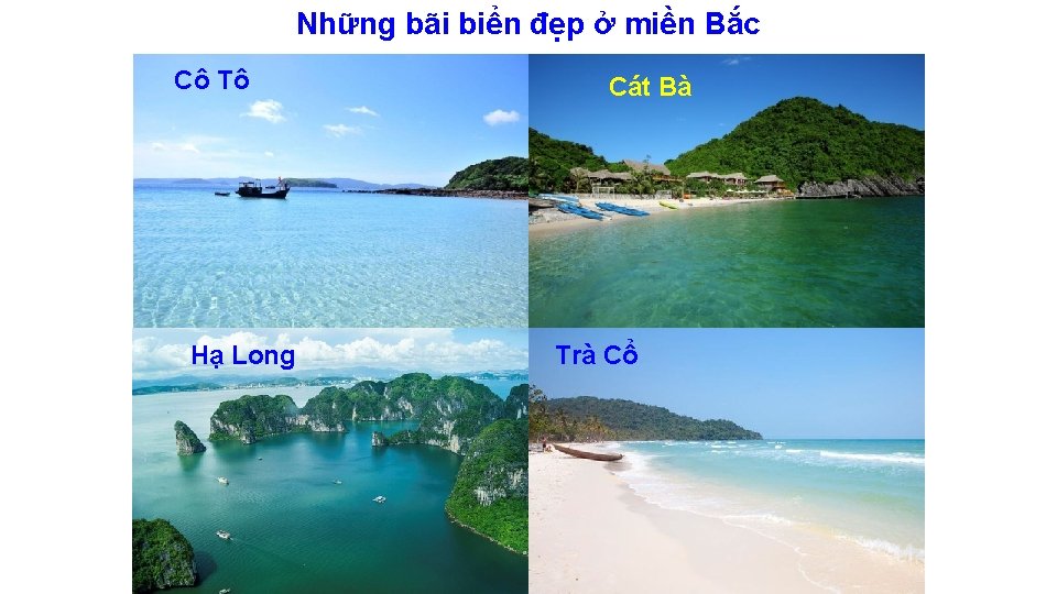 Những bãi biển đẹp ở miền Bắc Cô Tô Hạ Long Cát Bà Trà Những bãi biển đẹp ở miền Bắc Cô Tô Hạ Long Cát Bà Trà
