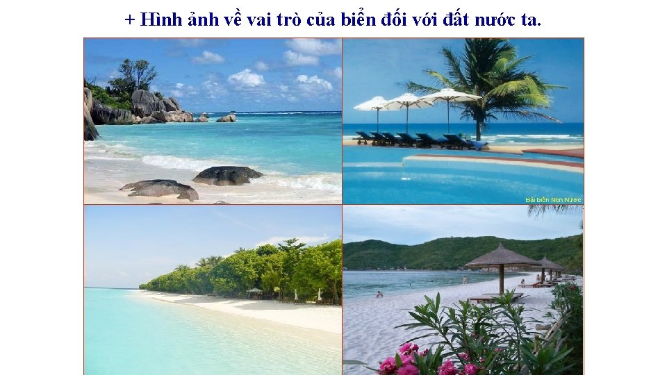 + Hình ảnh về vai trò của biển đối với đất nước ta. + Hình ảnh về vai trò của biển đối với đất nước ta.