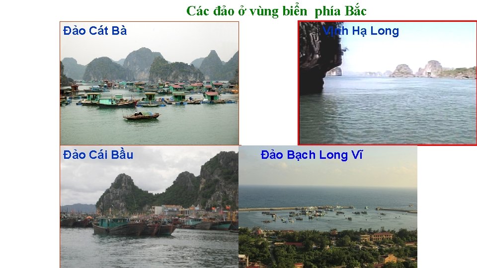 Các đảo ở vùng biển phía Bắc Đảo Cát Bà Đảo Cái Bầu Vịnh Các đảo ở vùng biển phía Bắc Đảo Cát Bà Đảo Cái Bầu Vịnh