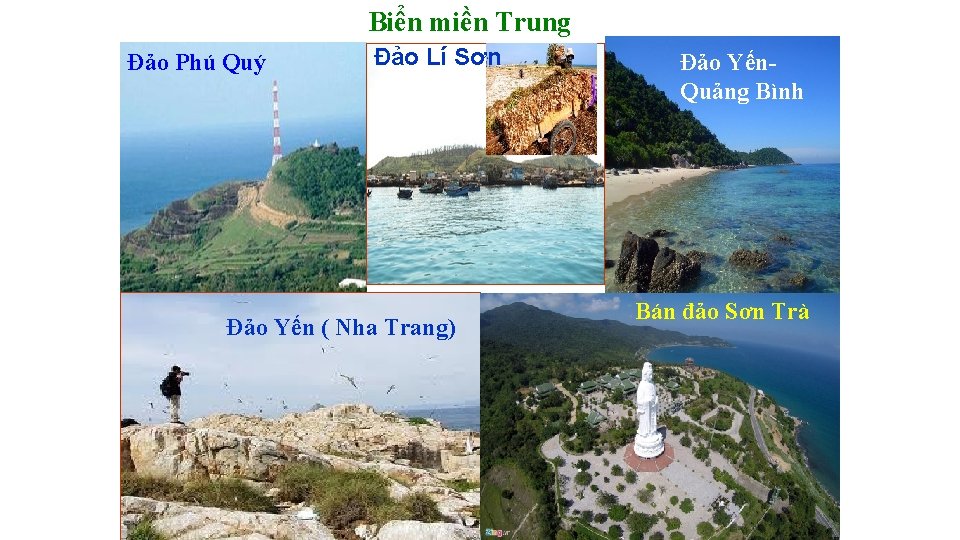 Biển miền Trung Đảo Phú Quý Đảo Lí Sơn Đảo Yến ( Nha Trang) Biển miền Trung Đảo Phú Quý Đảo Lí Sơn Đảo Yến ( Nha Trang)