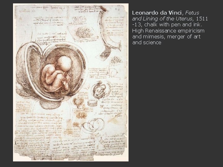 Leonardo da Vinci, Fetus and Lining of the Uterus, 1511 -13, chalk with pen