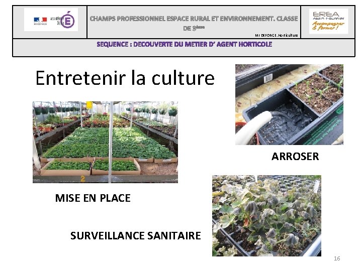  Mr DEFORGE. Horticulture Entretenir la culture ARROSER MISE EN PLACE SURVEILLANCE SANITAIRE 16