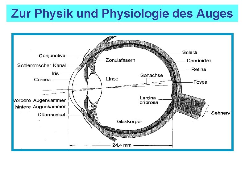 Zur Physik und Physiologie des Auges 