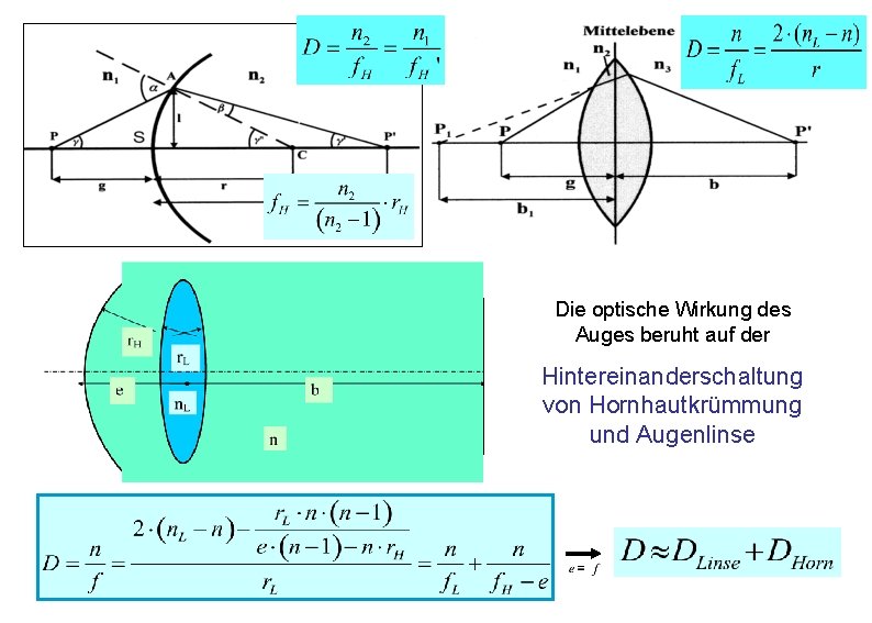 Die optische Wirkung des Auges beruht auf der Hintereinanderschaltung von Hornhautkrümmung und Augenlinse 