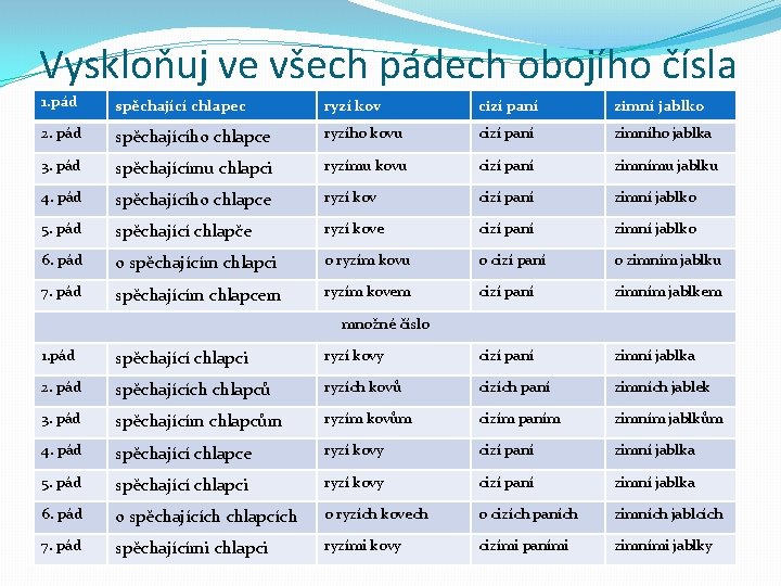 Vyskloňuj ve všech pádech obojího čísla 1. pád spěchající chlapec ryzí kov cizí paní