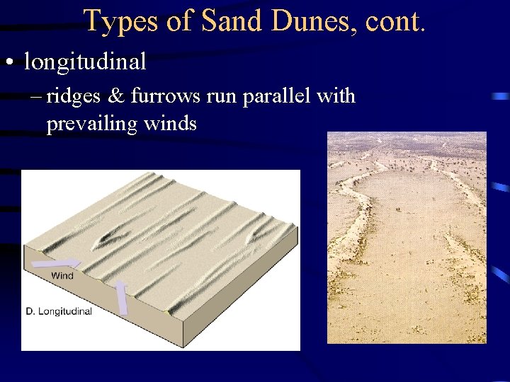 Types of Sand Dunes, cont. • longitudinal – ridges & furrows run parallel with