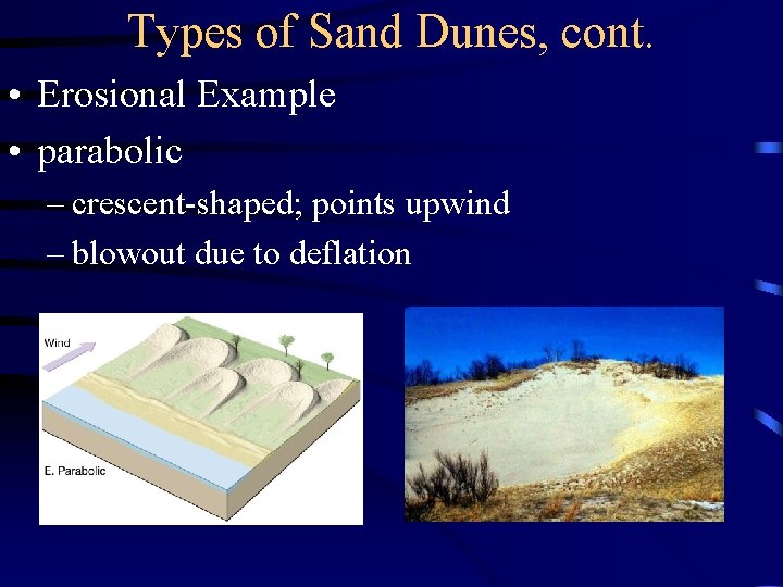 Types of Sand Dunes, cont. • Erosional Example • parabolic – crescent-shaped; points upwind