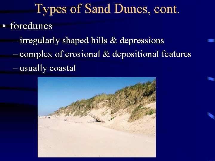 Types of Sand Dunes, cont. • foredunes – irregularly shaped hills & depressions –