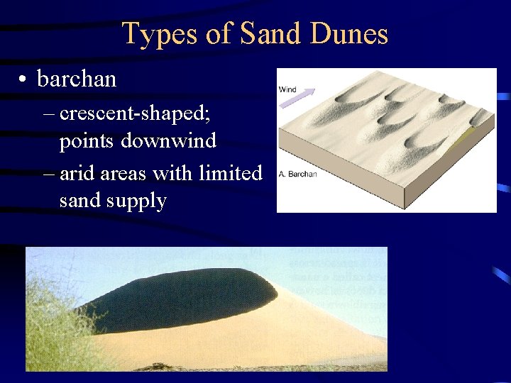 Types of Sand Dunes • barchan – crescent-shaped; points downwind – arid areas with