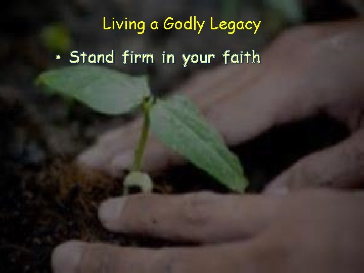 Living a Godly Legacy • Stand firm in your faith 