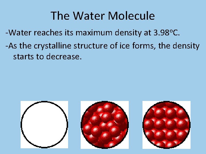 The Water Molecule -Water reaches its maximum density at 3. 98 o. C. -As