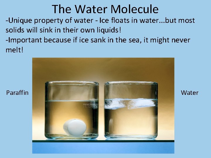 The Water Molecule -Unique property of water - Ice floats in water. . .