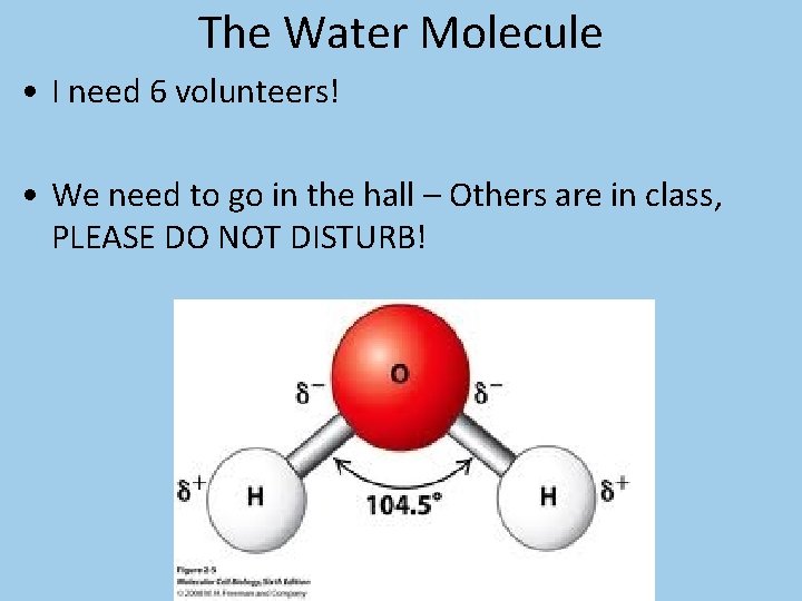 The Water Molecule • I need 6 volunteers! • We need to go in