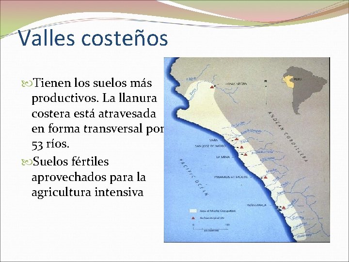 Valles costeños Tienen los suelos más productivos. La llanura costera está atravesada en forma