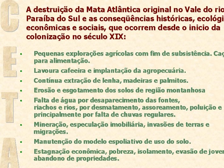 A destruição da Mata Atlântica original no Vale do rio Paraíba do Sul e