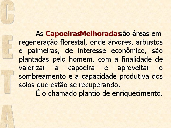 As Capoeiras. Melhoradassão áreas em regeneração florestal, onde árvores, arbustos e palmeiras, de interesse