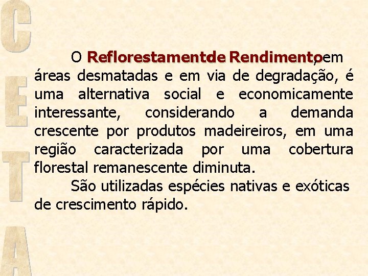 O Reflorestamento de Rendimento , em áreas desmatadas e em via de degradação, é