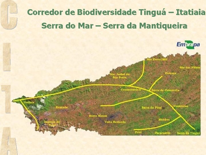 Corredor de Biodiversidade Tinguá – Itatiaia Serra do Mar – Serra da Mantiqueira 